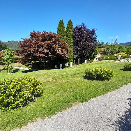 Gite De Grettery Saulxures-sur-Moselotte Exterior photo